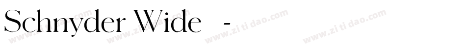 Schnyder Wide 字体字体转换